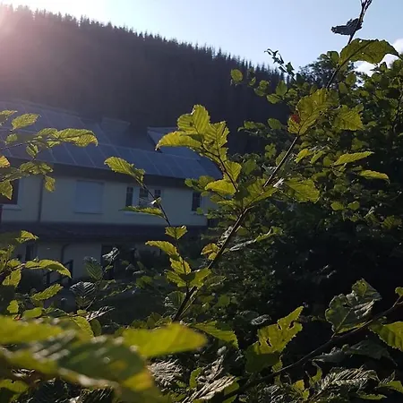 2 In The Weidenhaeuser Mill בית נופש באד ברלבורג