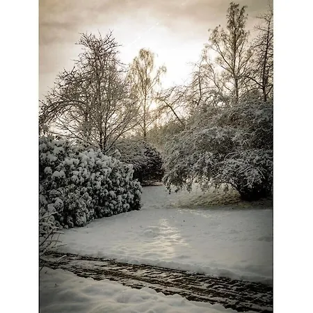 בית נופש 2 In The Weidenhaeuser Mill באד ברלבורג