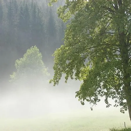 בית נופש 2 In The Weidenhaeuser Mill *
