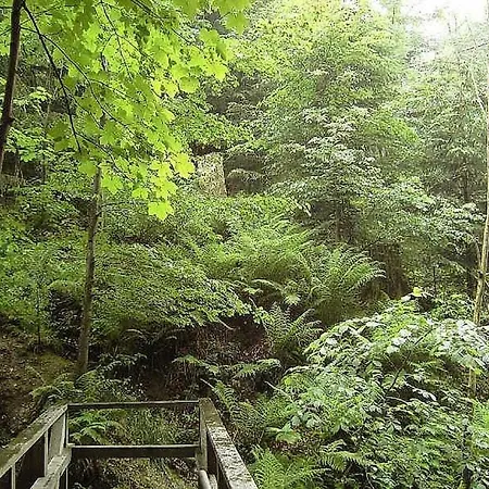 2 In The Weidenhaeuser Mill * באד ברלבורג