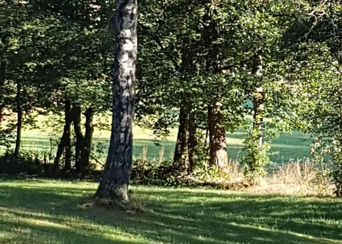 2 In The Weidenhaeuser Mill *