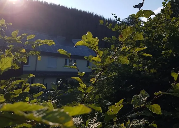 2 In The Weidenhaeuser Mill Feriehus Bad Berleburg