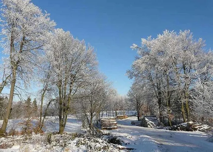 2 In The Weidenhaeuser Mill Feriehus Bad Berleburg