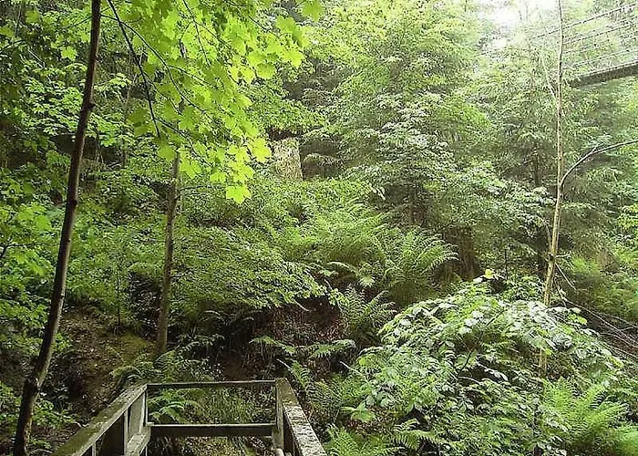 2 In The Weidenhaeuser Mill * Bad Berleburg